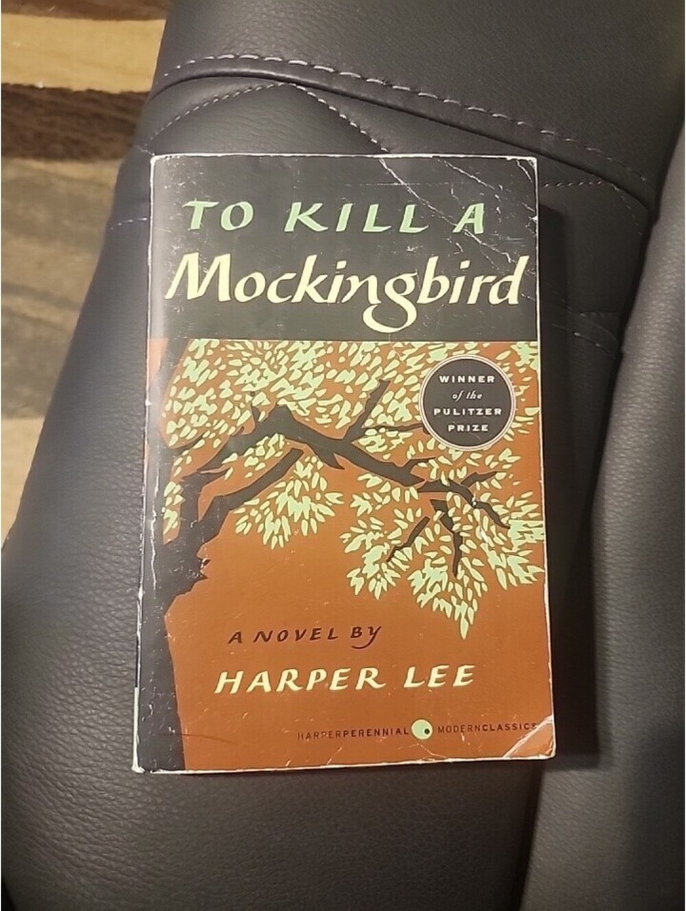 To Kill A Mockingbird by Harper Lee
